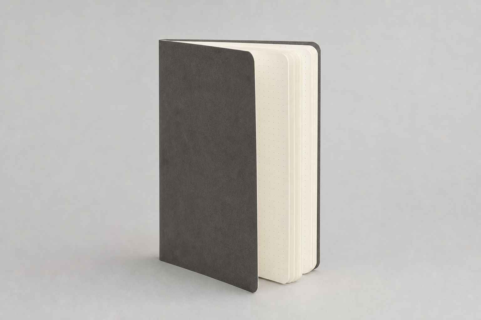 CityLines Notebook